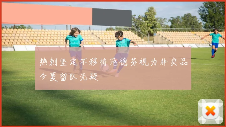 热刺坚定不移将范德芬视为非卖品今夏留队无疑